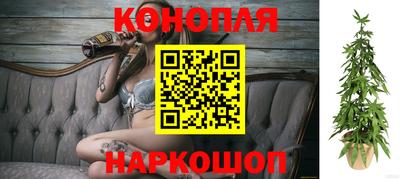 соль ск Сланцы
