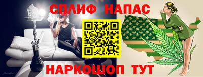 соль ск Сланцы