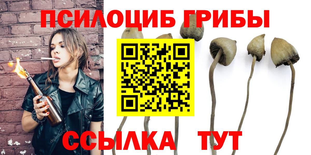 Псилоцибиновые грибы Psilocybe Урай